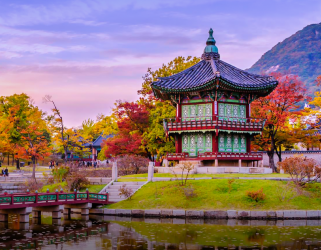 SOUTH KOREA CITY & ISLAND EXPERIENCE